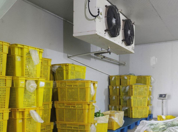 連云港保鮮冷庫(kù)安裝設(shè)計(jì)