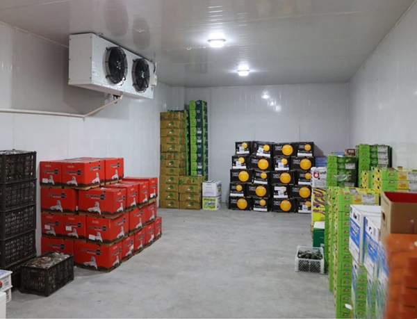 連云港保鮮冷庫(kù)設(shè)計(jì)