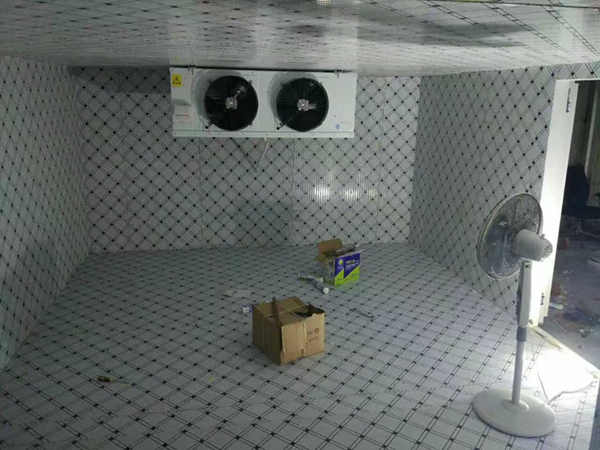 連云港超低溫冷庫(kù)設(shè)計(jì)